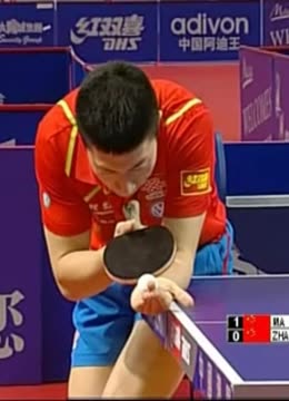 回到篮球梦 回到篮球梦