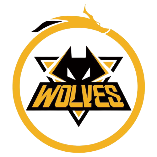 争取最佳传 争取最佳传