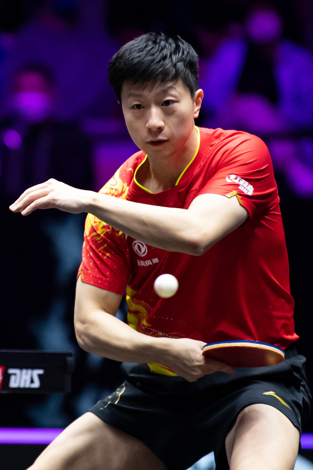 li li